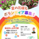 夏の花植えボランティア募集ポスター